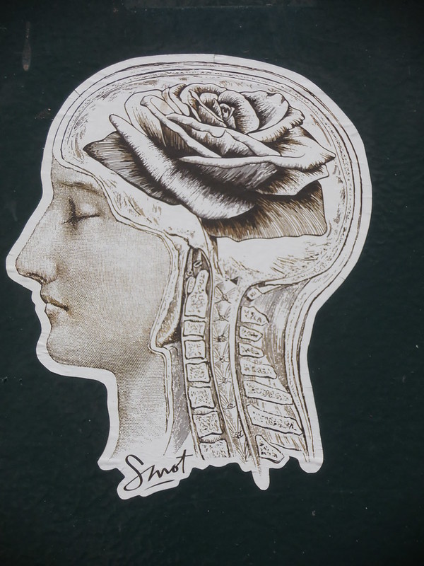 Cerveau de rose – Jeanne Menjoulet – Flikr